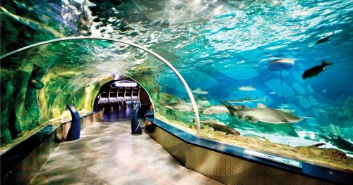 Istanbul Aquarium & Aqua Florya Shopping Mall Tour